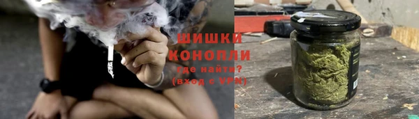 метадон Заводоуковск