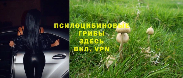метадон Заводоуковск
