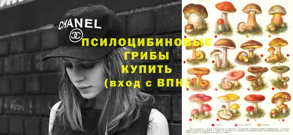 скорость Заволжье