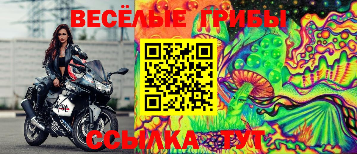 Псилоцибиновые грибы Magic Shrooms  цены   Медногорск  Вход с VPN 
