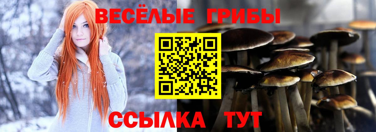 Галлюциногенные грибы мицелий Медногорск