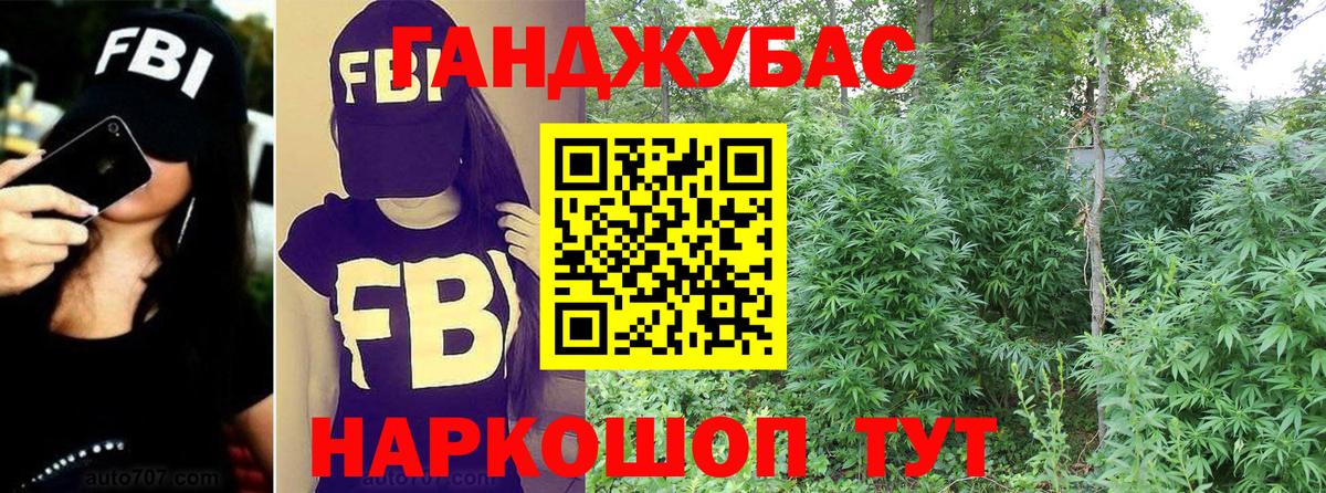 Канабис план Медногорск